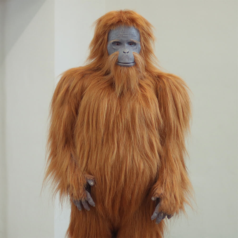 bcc barry puppet