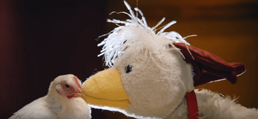 chicken puppet