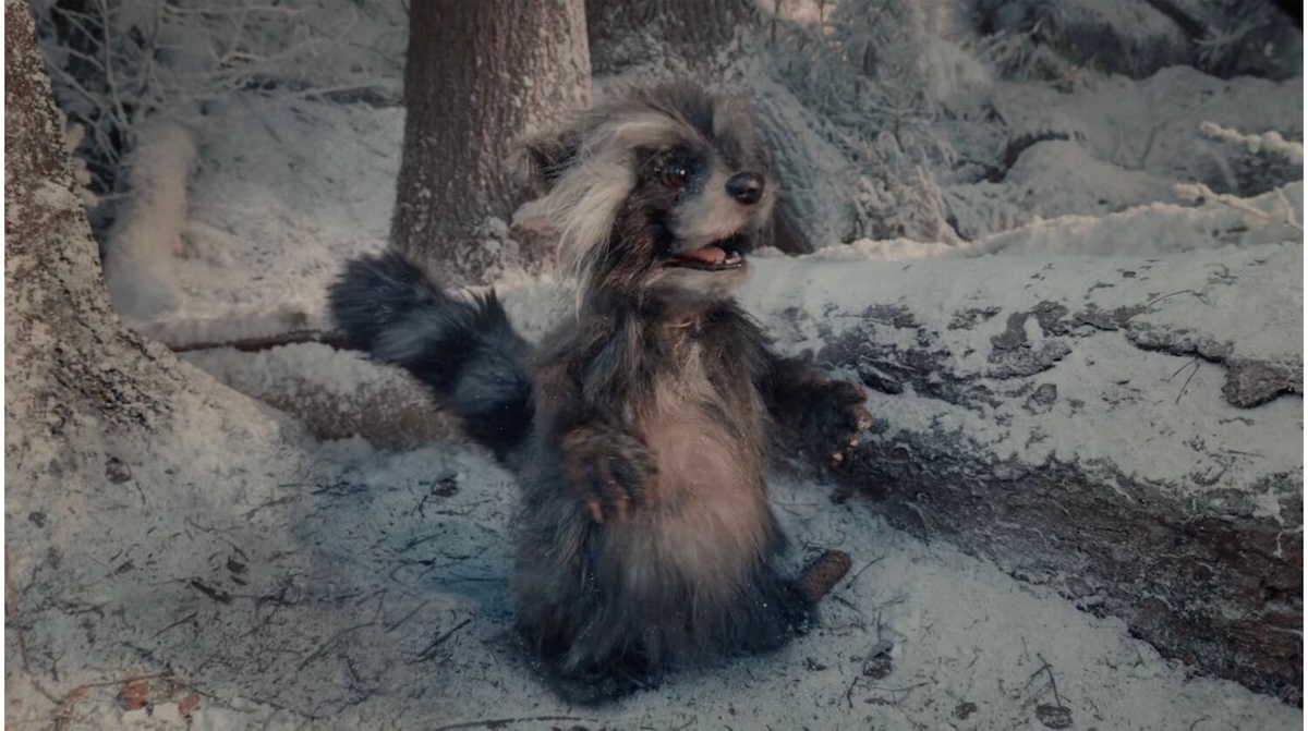 racoon puppet