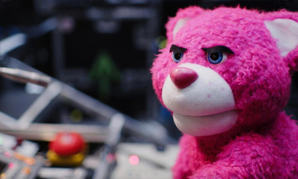 teddy